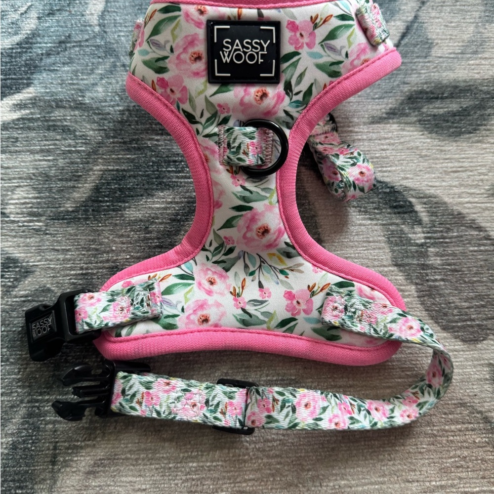 Sassy Woof xxs dog harness